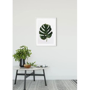 Wandbild: Monstera Blatt im weißen Rahmen, 50x70 cm. Dekorative Zimmerpflanze als Kunstdruck.