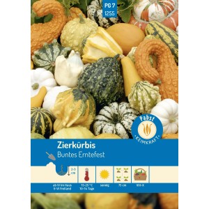 Saatgut für Zierkürbis 'Buntes Erntefest' von Pabst Keimkraft: Farbenfrohe Kürbismischung für Herbstdeko.