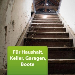 Foto einer Treppe in einem Keller mit Spinnweben; Ardap Repell Spinnenspray geeignet für Haushalt, Keller, Garagen & Boote.
