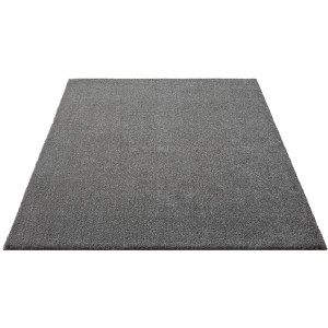 Floornovo Kurzflor Teppich Nr. 208 Grau Einfarbig 150 x 80 cm