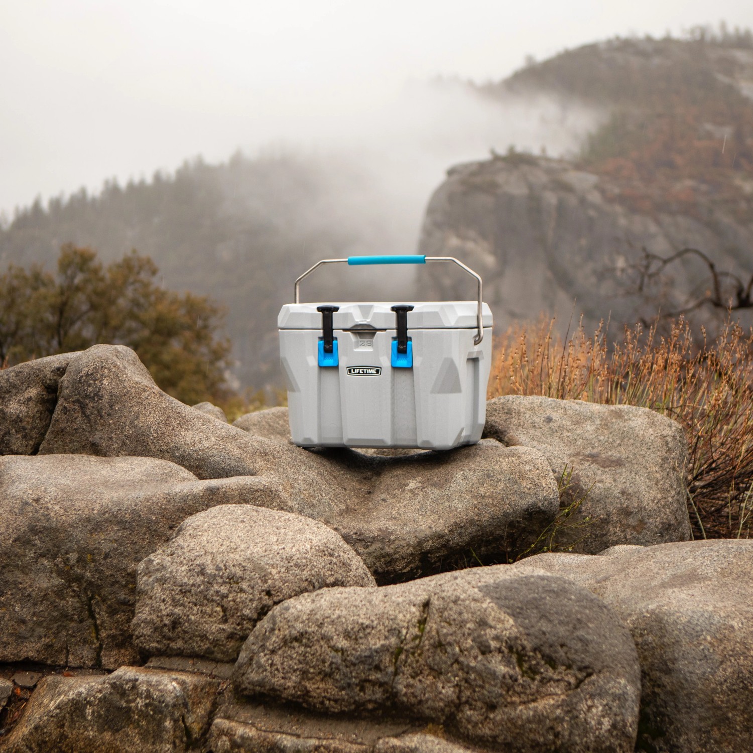 Graue Lifetime Kühlbox (26,5 Liter) mit blauem Griff und Verschlüssen auf Felsen.