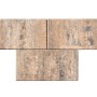 Diephaus Terrassenplatte Corso Muschelkalk, 40x20x4 cm, Betonplatte für Terrasse und Garten.