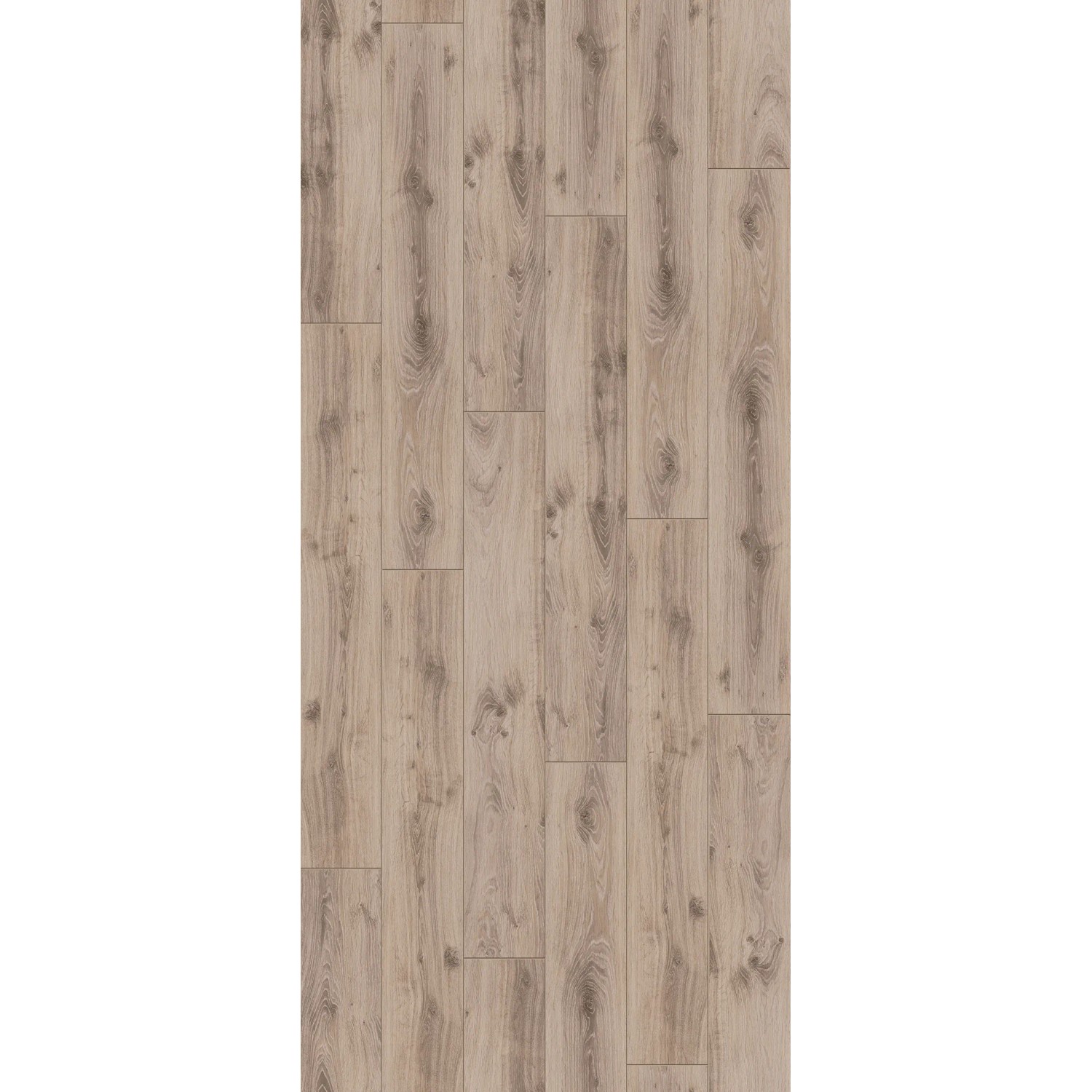 Parador Laminat Classic 1050 Eiche Tradition grau-beige, Landhausdielen-Optik.
