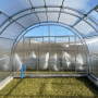 Garten Dream Gewächshaus Oasis 4x6m mit 6mm Polycarbonat_4