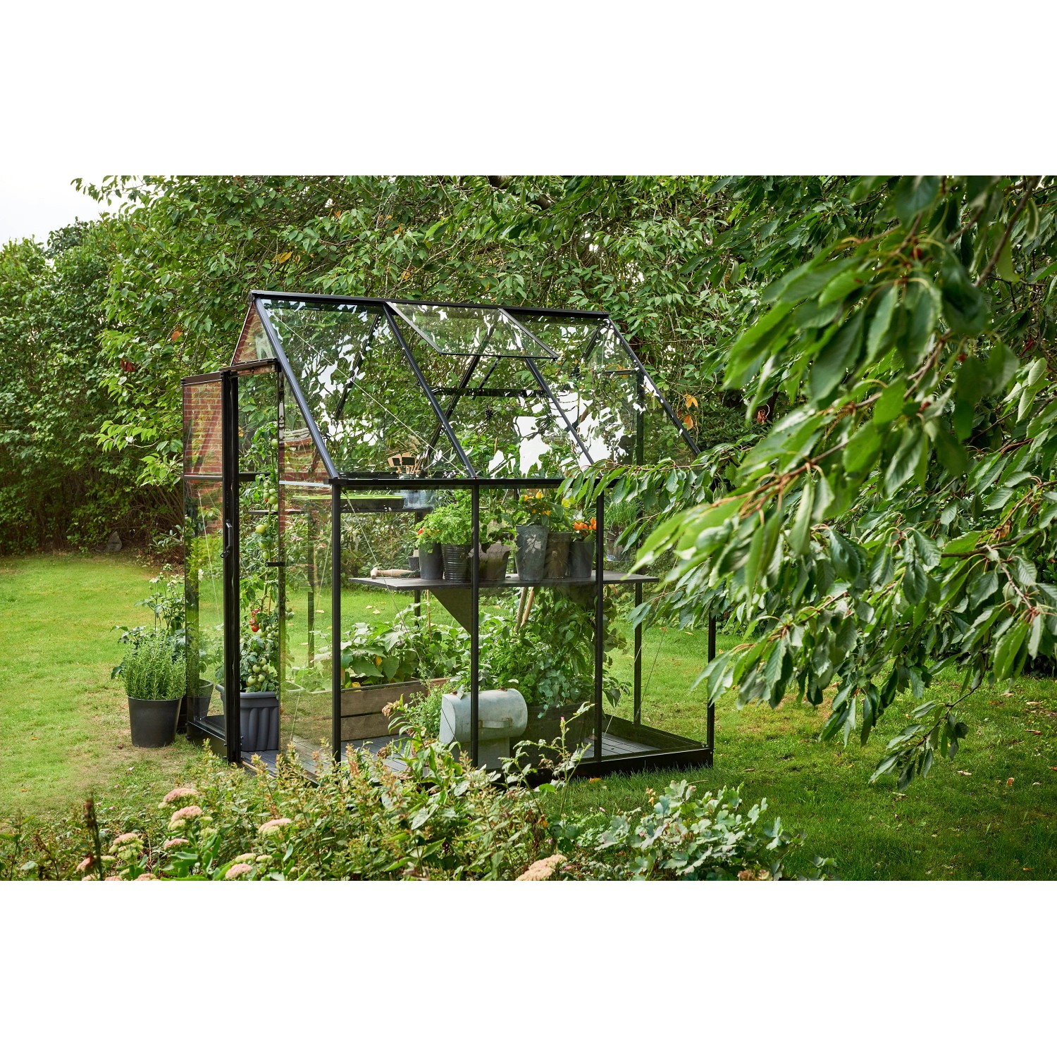 Schwarzes Halls Gewächshaus Qube 66 mit Pflanzen im Garten.
