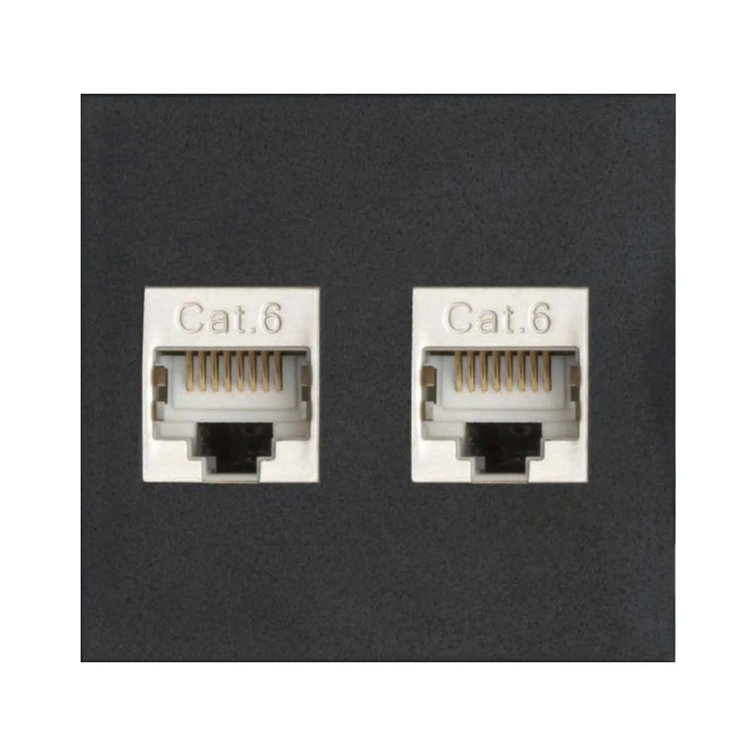 Evoline Wechselmodul 2x RJ45 Cat6 Kunststoff Schwarz