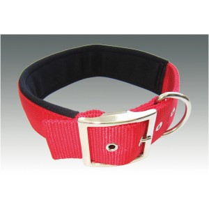 Rotes Heim Hundehalsband (45cm) mit weichem Neoprenfutter und Metallschnalle.