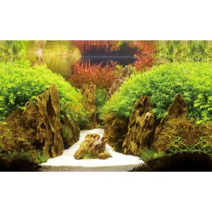 Hobby Fotorückwand Canyon/Woodland 100x50 cm: felsige Landschaft mit grünen Pflanzen und hellem Sandweg.