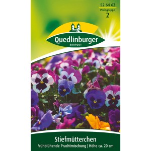 Quedlinburger Stiefmütterchen, frühblühende Prachtmischung in verschiedenen Farben.