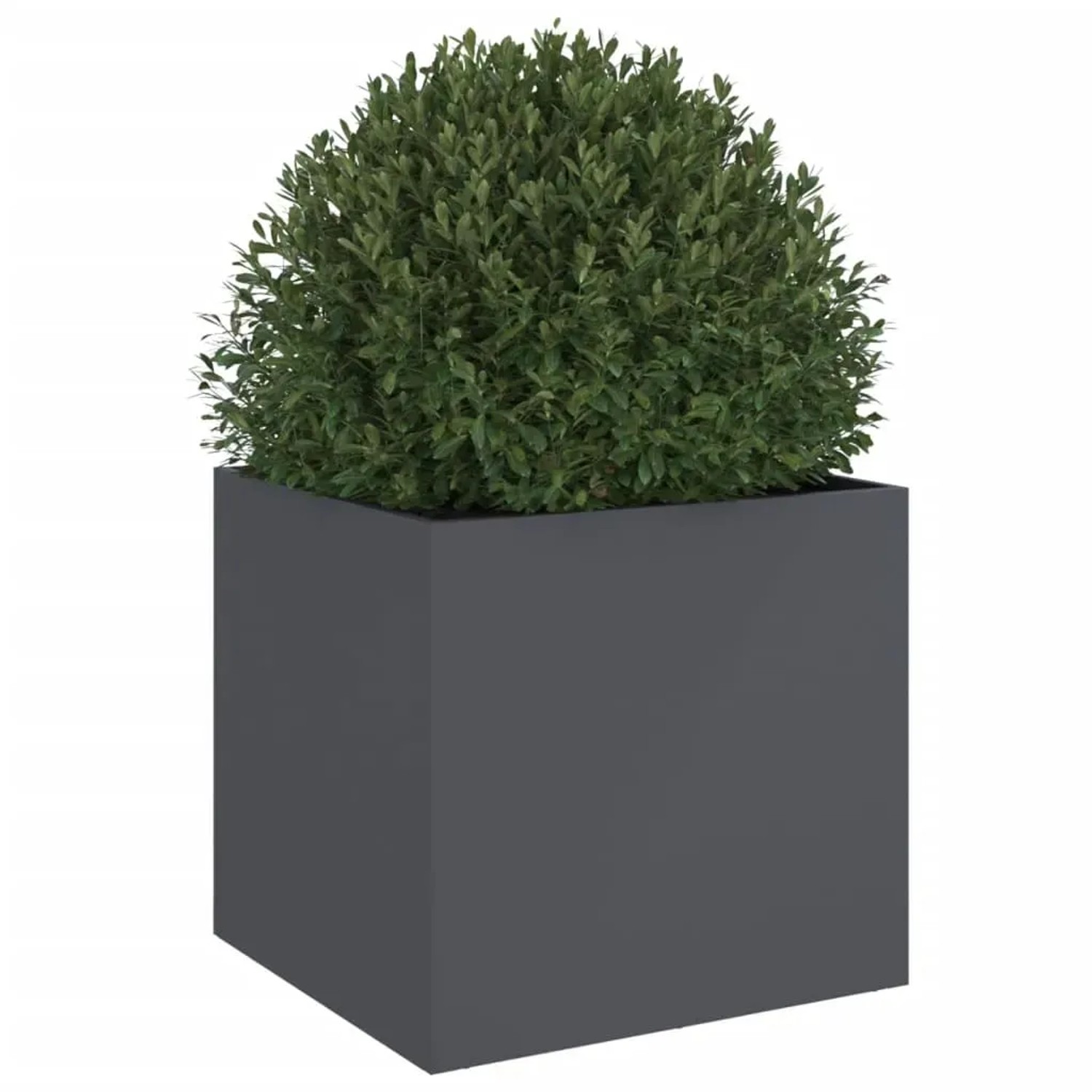 Anthrazitfarbener Pflanzkübel aus Stahl mit grüner Pflanze. Quadratischer Blumenkasten für Garten & Balkon.