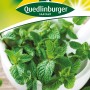 Quedlinburger Pfefferminze Samen für Tee und Speisen.