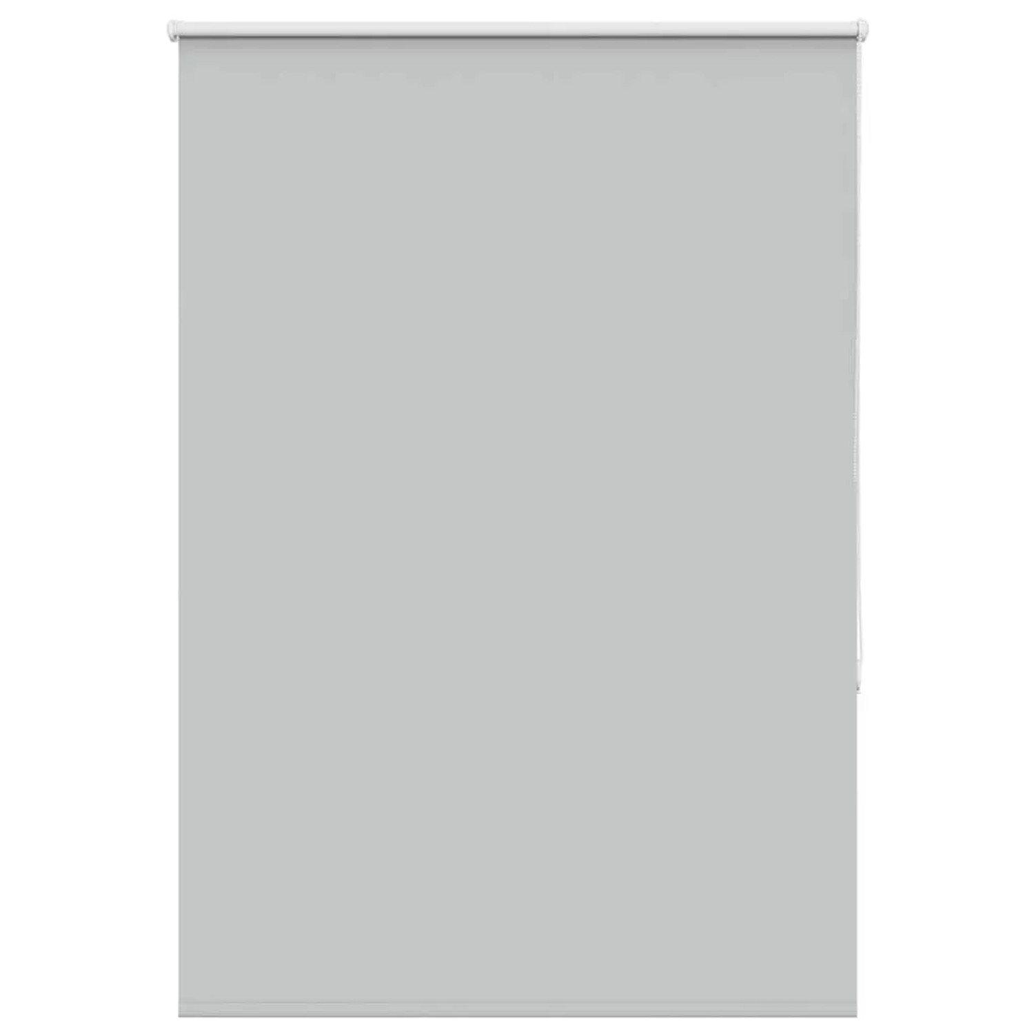 vidaXL Verdunkelungsrollo Hellgrau 100x150cm Stoffbreite 95,7 cm 4011388 günstig online kaufen