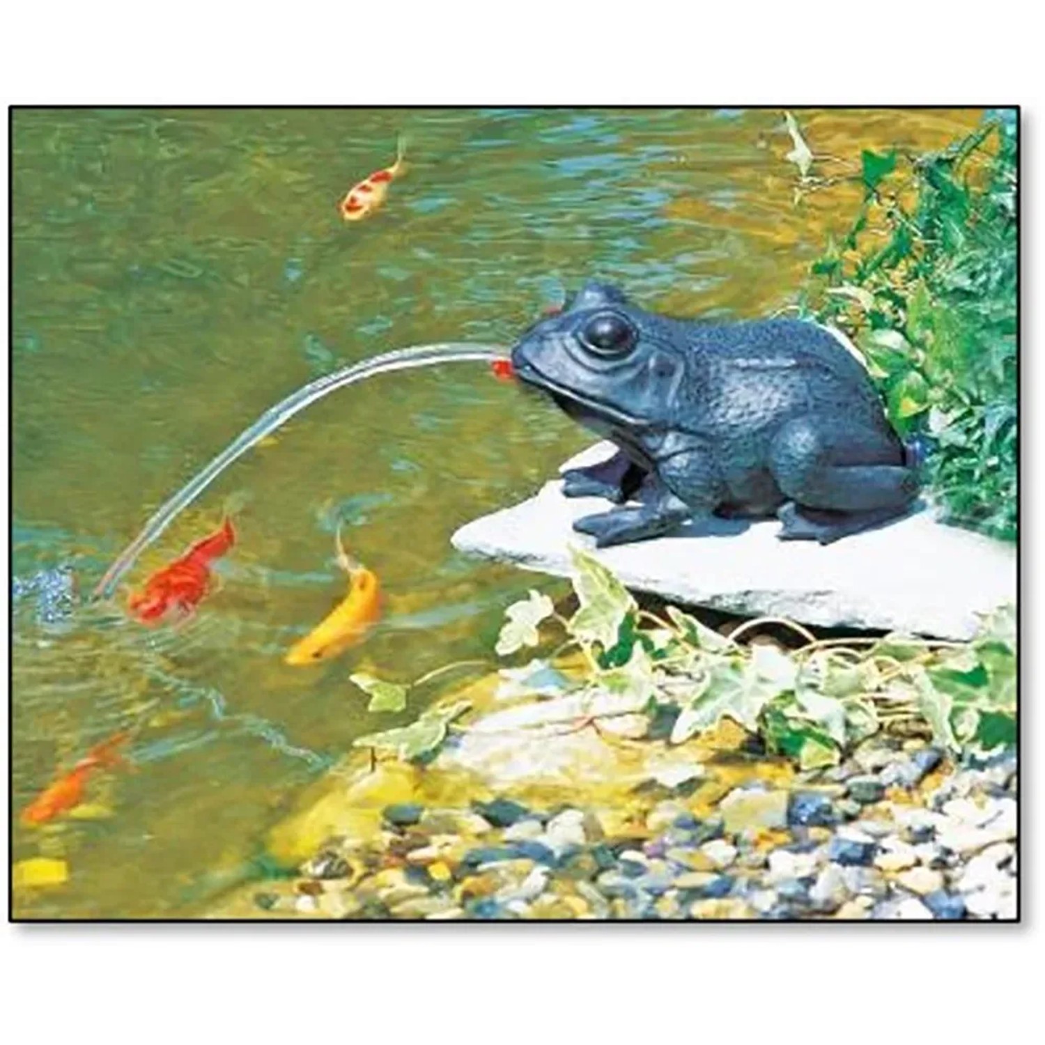 Heissner Teichfigur Frosch Solar-Set mit Pumpe im Gartenteich, Wasserfontäne und Fische.