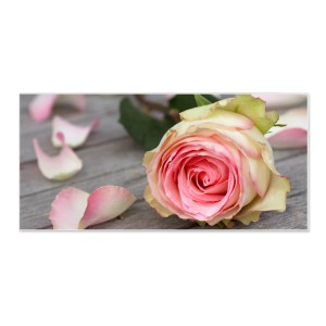 Banjado Magnettafel mit Rosen-Motiv. Weiße Magnetwand, 78x37cm, inkl. 4 Magnete.