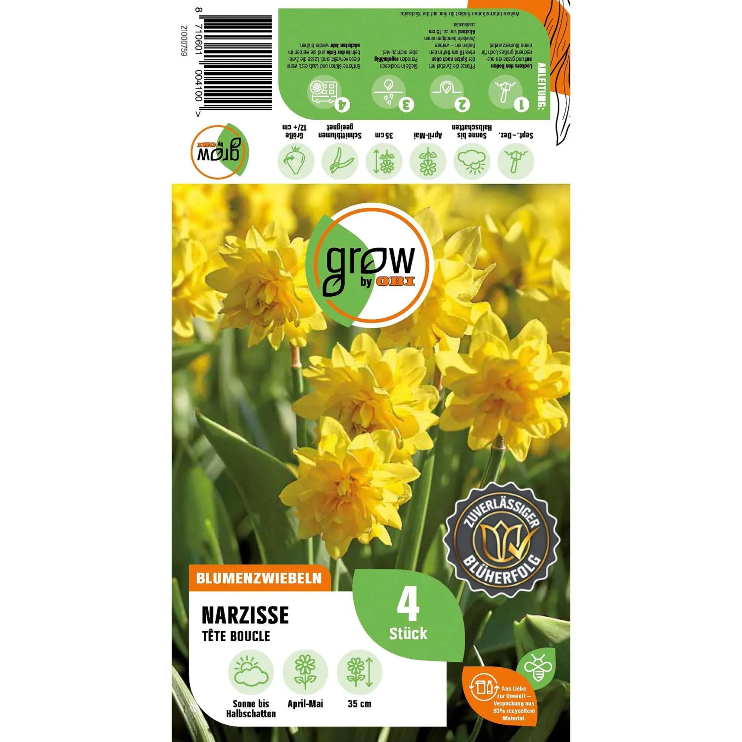 Gelbe Narzisse 'Tête Bouclé' (4 Stück) von GROW by OBI. Gefüllte Blüte, ideal für Beet und Rabatte.