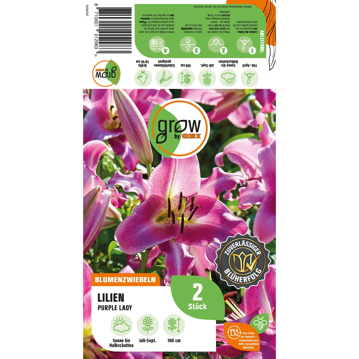 GROW by OBI Lilie "Purple Lady" Höhe ca. 100 cm Lilium O.T. Hybrid