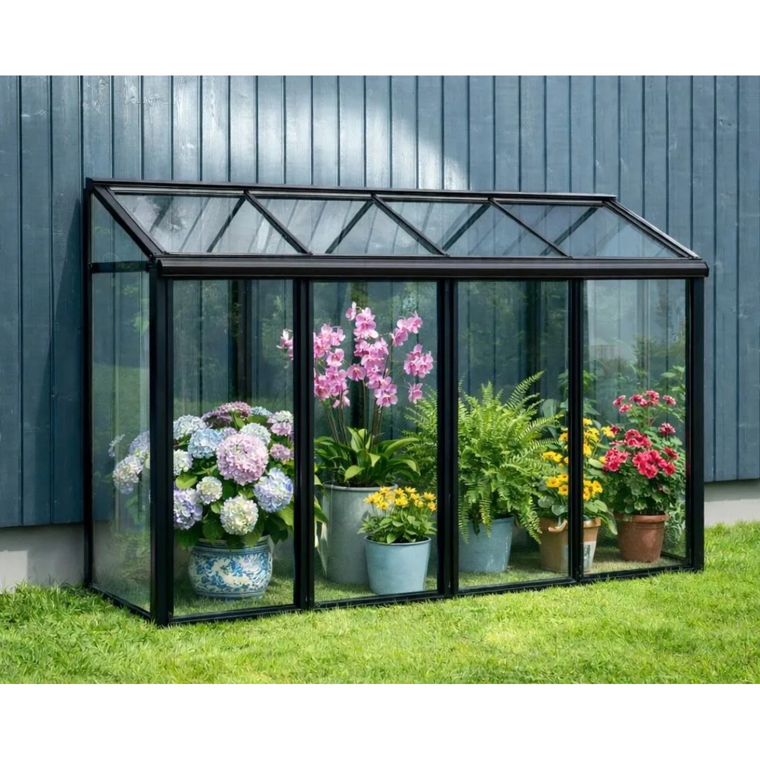 Bloomcabin Premium-Qualität Gewächshaus Mini GHM2