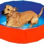 Hund im Outdoor-Hundepool (120 cm Durchmesser, 30 cm hoch) mit roter Außenwand und blauem Innenraum.