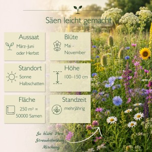 Bunte Wildblumenwiese mit vielfältigen Blüten und Infografik zur LaCaTho Streuobstwiesen Samen Mischung.
