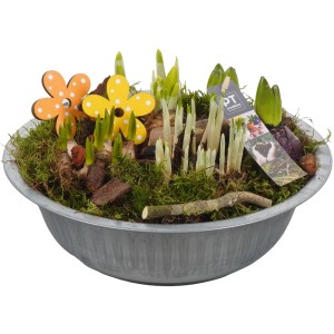 Frühlingsarrangement in Zinkschale mit Narzissen und Hyazinthen, dekoriert mit Holzblumen.