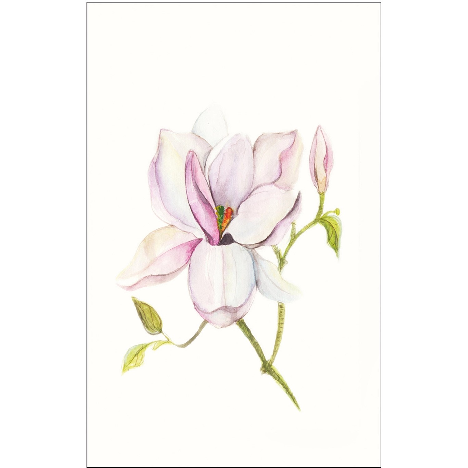 Komar Wandbild Magnolia Shine 50 x 70 cm