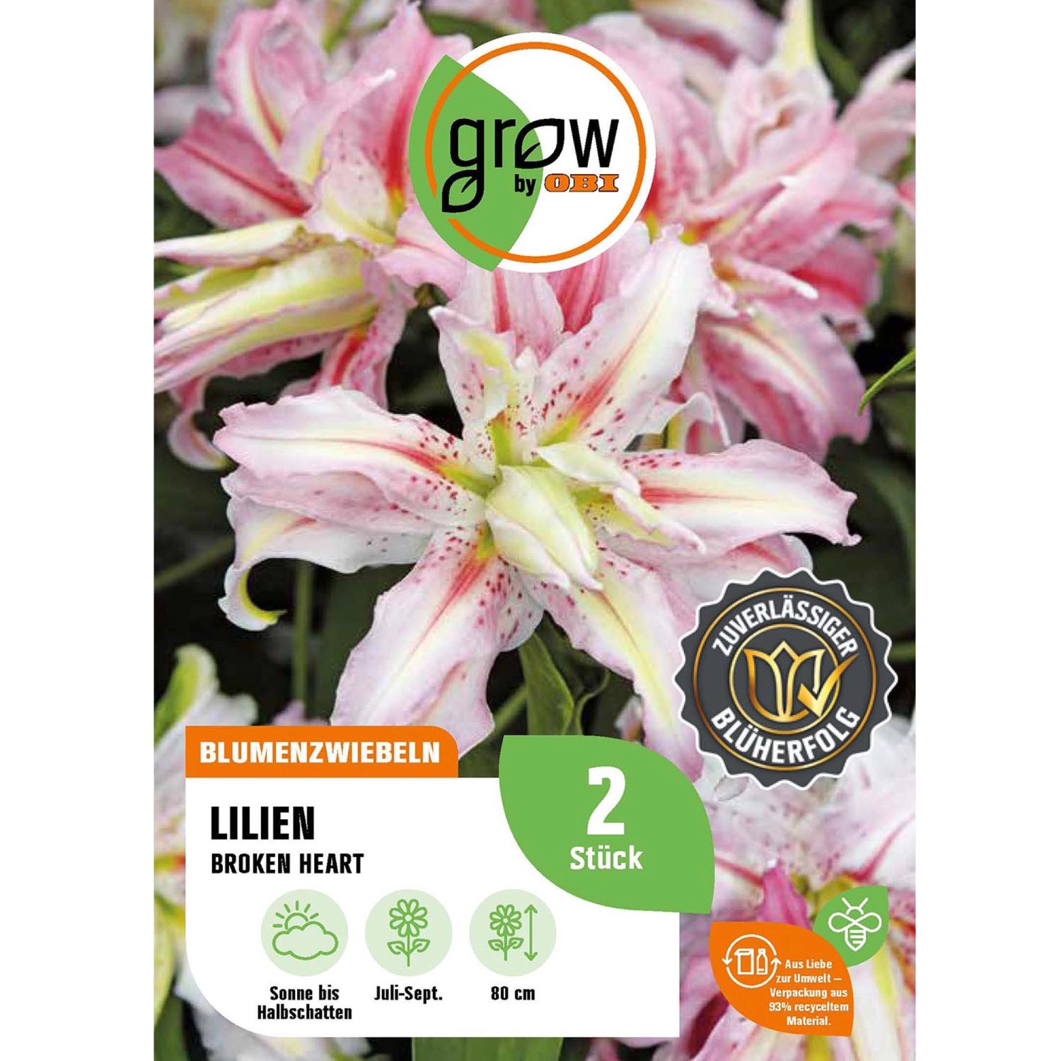 GROW by OBI Lilie Oriental Broken Heart Höhe ca. 80 cm Lilium oriental günstig online kaufen