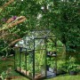 Schwarzes Halls Gewächshaus Qube 66 mit Pflanzen im Garten. Das Gewächshaus hat eine Glastür und Fenster.