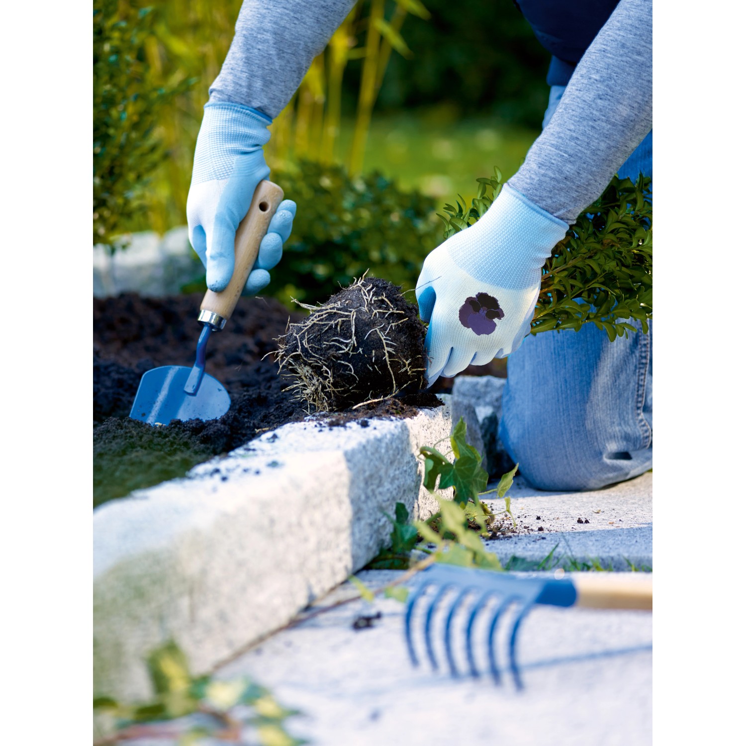 LUX Gartenhandschuhe Latex Blau Gr. 8 bei der Gartenarbeit.