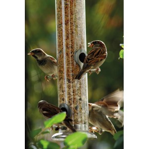 Dobar Acrylglas-Futtersäule mit Vögeln, 9,5x9,5x39cm, Metall-Futterspender für Wildvögel.