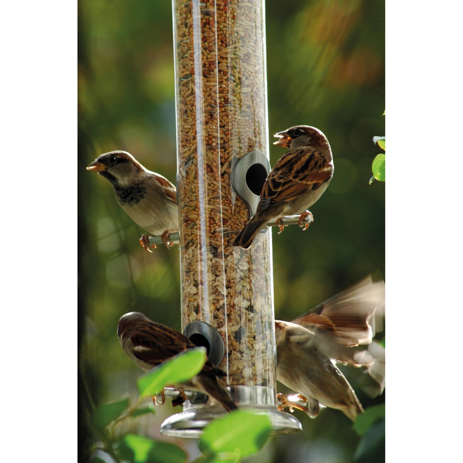 Dobar Acrylglas-Futtersäule mit Vögeln, 9,5x9,5x39cm, Metall-Futterspender für Wildvögel.