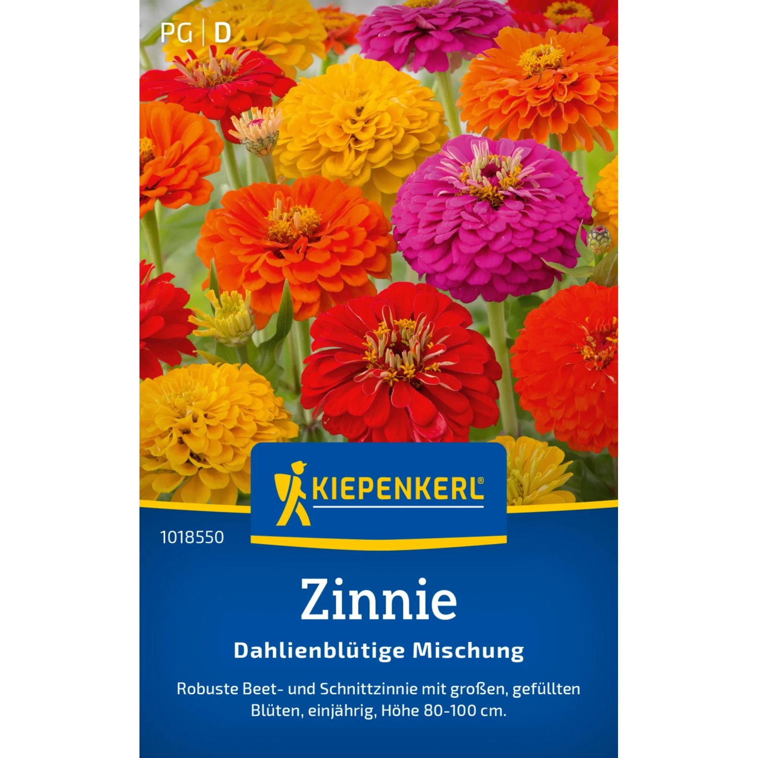 Kiepenkerl Zinnie "Dahlienblütige Mischung" Zinnia elegans