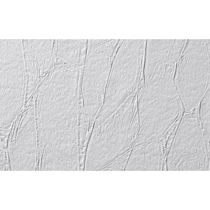 Detailansicht der weißen, strukturierten Vliesfaser Protect 200 Tapete.