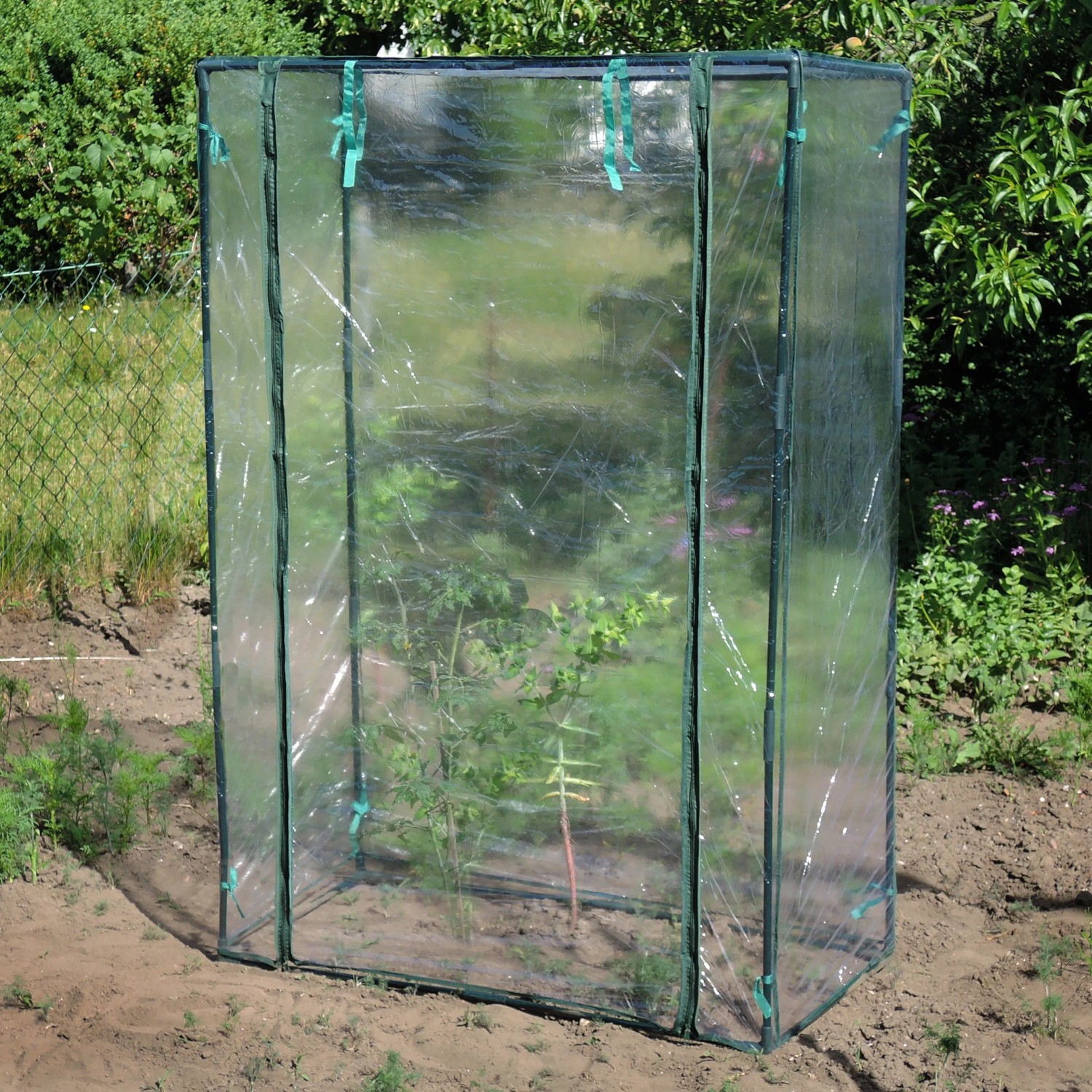 Floraworld Gewächshaus 5 m² mit Folie und grünem PVC-Rahmen im Garten.