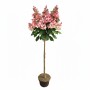 Pflanzen-Boering Hydrangea Paniculata Wims Red Rote Rispenhortensie 170-180 cm Stammhöhe 120 cm