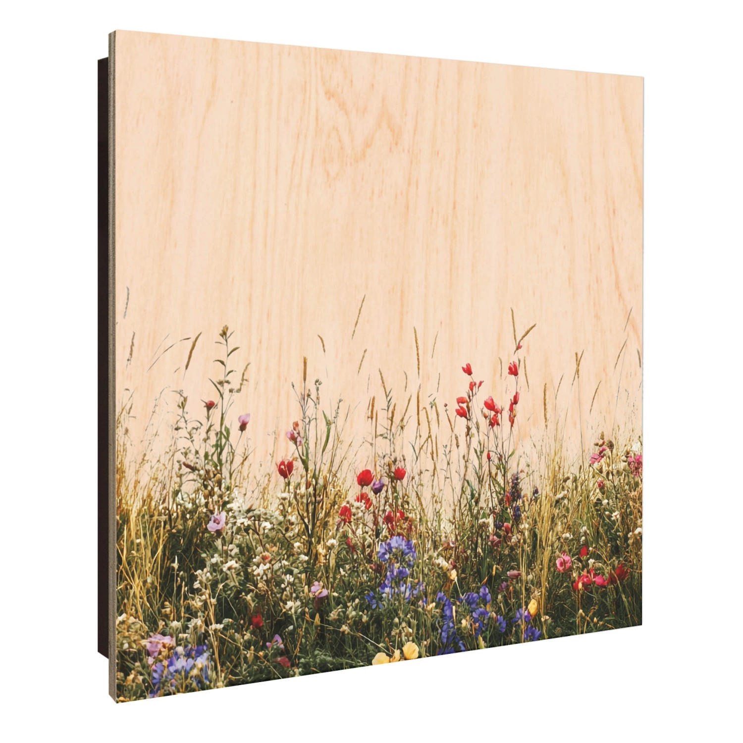 Banjado Großer Schlüsselkasten Holz 30x30cm Schwarz Scharnier Links 50 Hake günstig online kaufen