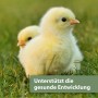 Zwei gelbe Küken im Gras, Produktbild für Quiko Hobby Farming Vital Fit Vogel-Ergänzungsfutter.