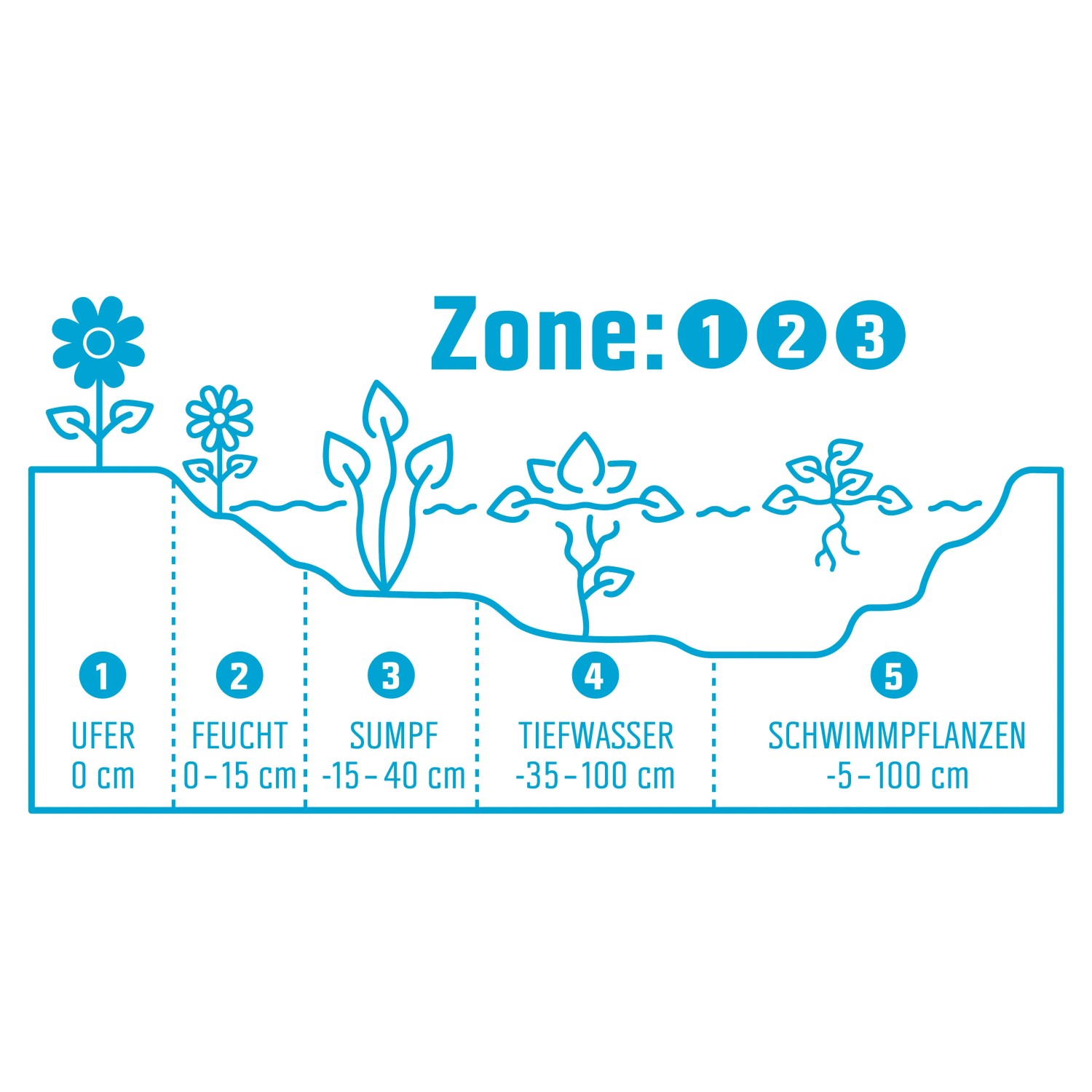 Grafik: Teichzonen für Ufer-, Feucht-, Sumpf-, Tiefwasser- und Schwimmpflanzen.