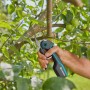 Gardena Assistcut Akku Gartenschere im Einsatz an einem Baum mit grünen Blättern und Früchten.