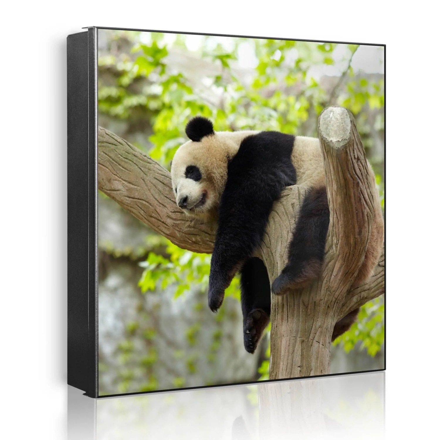 Banjado Großer Schlüsselkasten Metall 30x30cm Schwarz Scharnier Links 50 Haken Beschreibbar Magnetisch Motiv Panda