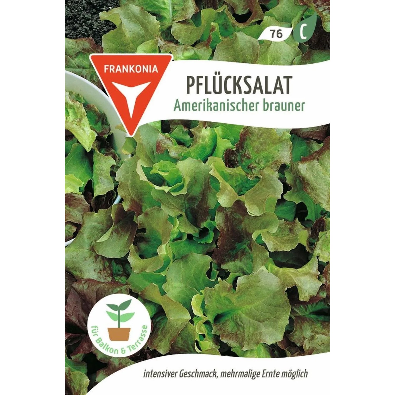 FRANKONIA Amerikanischer Brauner Pflücksalat