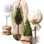 Winterschutz Jutesäcke im Duo-Pack für Pflanzen: Natürlicher Schutz vor Frost und Wind im Garten.