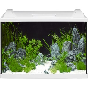 Eheim Aquarium-Set Aquapro LED 84 Weiß, 84 Liter, bepflanzt und dekoriert.
