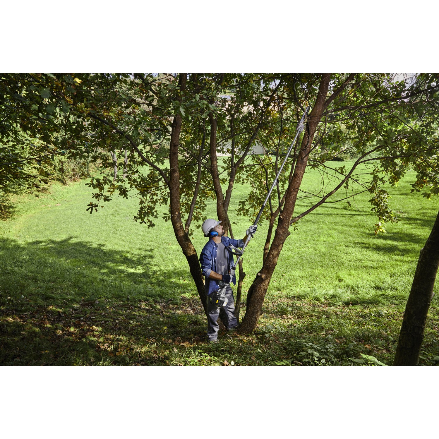 Mann benutzt Alpina Benzin-Multi-Tool AMT 26 als Hochentaster im Garten.