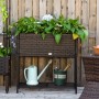 Outsunny Blumenkasten aus Rattan mit Füßen und Ablage, bepflanzt mit grünen Pflanzen und weißen Blüten.