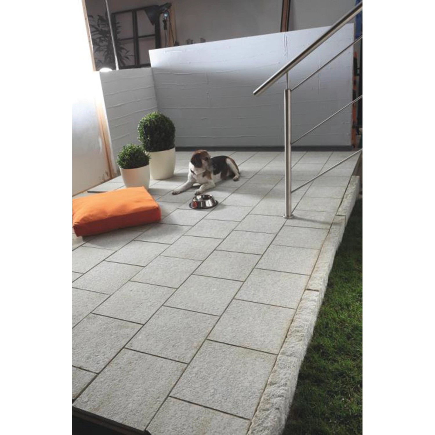 Verlegte, graue Terrassenplatten aus Naturstein (Sino Grau, 60x30 cm) auf einer Terrasse mit Hund.