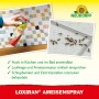 Neudorff Loxiran Ameisen-Spray in Anwendung gegen Ameisen, mit Sprührohr für schwer zugängliche Stellen.
