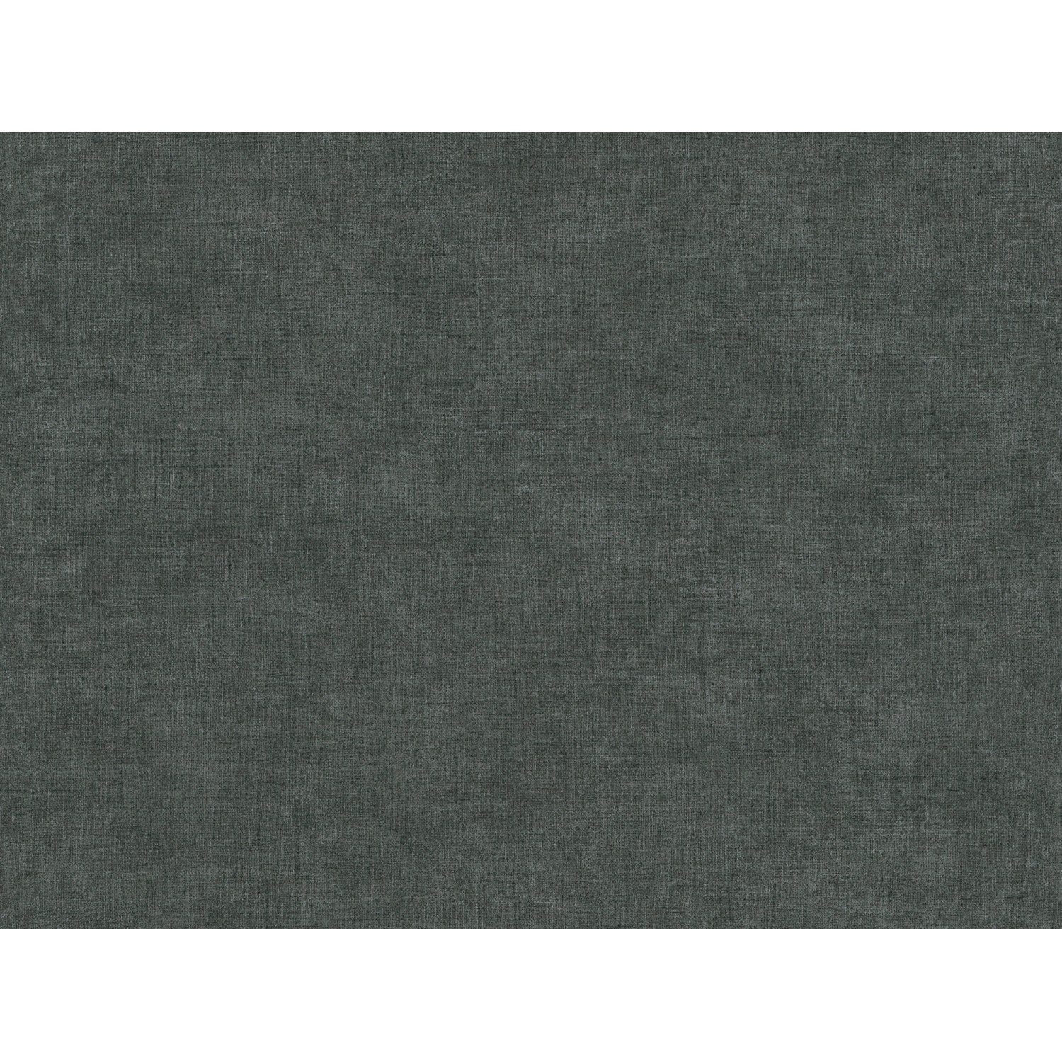 A.S. Création Vliestapete Paradise Garden Uni Schwarz FSC® günstig online kaufen