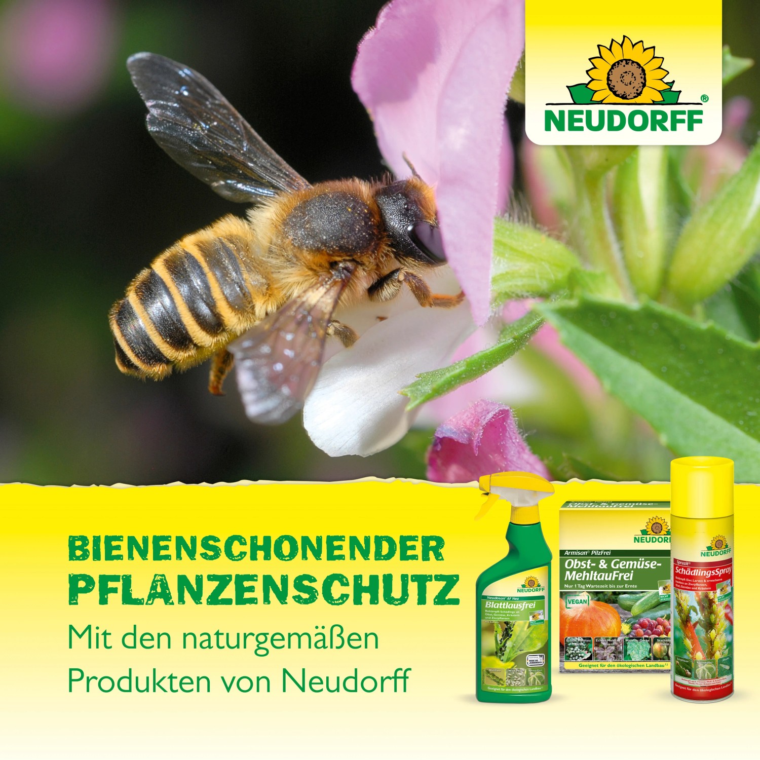 Neudorff Pflanzenstärkungsmittel: Biene auf Blüte, daneben Produkte für bienenschonenden Pflanzenschutz.