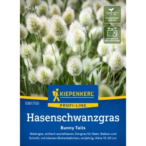 Kiepenkerl Hasenschwanzgras 'Bunny Tails' im Detail: Ziergras mit flauschigen, weißen Blüten.