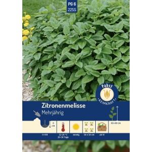 Pabst Keimkraft Zitronenmelisse Saatgut, mehrjährige Kräuterpflanze mit grünen Blättern.